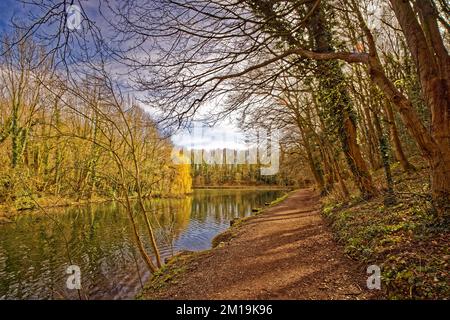 Le chemin le long du lac de pêche à Moss Valley, Brynteg, Wrexham, au nord du pays de Galles pendant le printemps. Banque D'Images