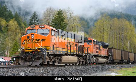 Skykomish, WA, États-Unis - 26 avril 2022; BNSF train de charbon vide en direction de l'est à travers Skykomish lors d'une journée de printemps humide avec des nuages bas Banque D'Images
