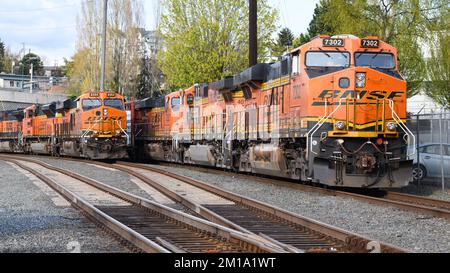 Everett, WA, États-Unis - 21 avril 2022; deux trains de marchandises BNSF attendent à Everett, Washington Banque D'Images