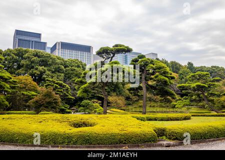 Vue sur Tokyo depuis les jardins du palais impérial de Ninomaru à l'automne Banque D'Images