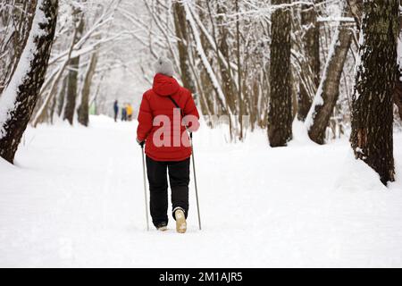 Marche nordique par temps froid, mode de vie sain. Femme avec des bâtons marche dans le parc d'hiver sur fond d'arbres couverts de neige Banque D'Images