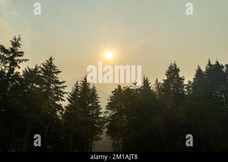 Le soleil brille à travers la fumée épaisse des feux de forêt dans les Cascades du Nord - 2022 Banque D'Images