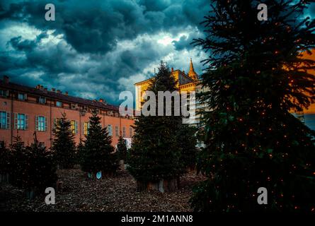 Turin, Italie. 11th décembre 2022. Italie Piémont Turin arbres de Noël sur la Piazza Castello crédit: Realy Easy Star/Alamy Live News Banque D'Images