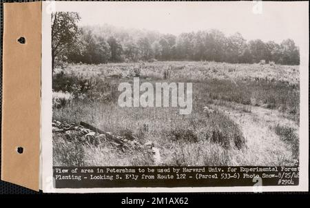 Vue de la région de Petersham devant être utilisée par l'Université Harvard pour la plantation expérimentale de forêts, à l'aspect sud-est de la route 122, Petersham, Massachusetts, 25 août 1948 : parcelle no 533-6 , ouvrages d'eau, réservoirs, structures de distribution d'eau, foresterie, vues générales Banque D'Images