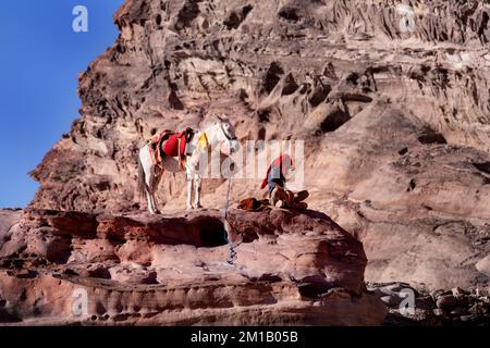 Pétra, Jordanie - 3 novembre 2022 : homme bédouin et âne dans la ville antique, site classé au patrimoine mondial de l'UNESCO Banque D'Images