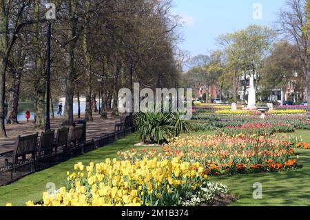 Lits de fleurs le long de l'Embankment, Bedford, Royaume-Uni. Banque D'Images