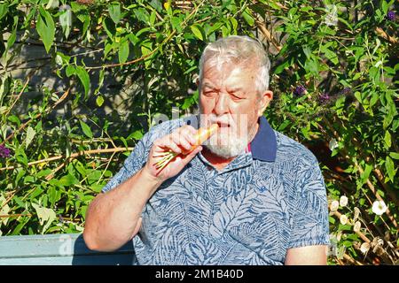 Homme âgé ou âgé assis à l'extérieur et mangeant une carotte brute. Banque D'Images