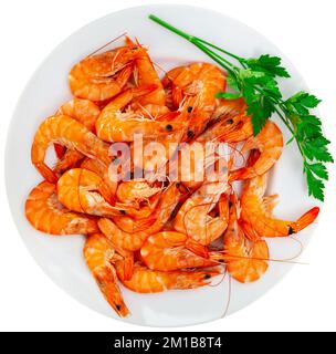 Crevettes rouges fraîches sur l'assiette avec persil, citron, ail et huile d'olive Banque D'Images