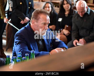 Acteur d'Hollywood, bodybuilder et ancien gouverneur de Californie (Etats-Unis) Arnold Schwarzenegger vu lors d'une visite privée à l'ancien camp de concentration allemand Auschwitz Birkenau. Après avoir visité le camp, il a visité le Centre juif de O?wi?cim, où il a rencontré un ancien prisonnier du camp, Lidia Maksymowicz. Banque D'Images