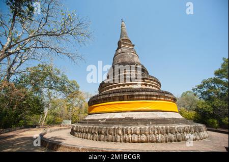 Ancien Chindi, Wat Umong Suan Phuttham, construit en 1297, est un vieux temple dans la forêt de la montagne dans la ville de Chiang Mai en Thaïlande. Banque D'Images