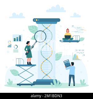 Test génétique et analyse des gènes, illustration des vecteurs de la technologie scientifique. Caricature de minuscules scientifiques font des recherches sur l'hélice de l'ADN à l'intérieur d'un flacon de laboratoire avec loupe, découverte et expérience en biotechnologie Illustration de Vecteur