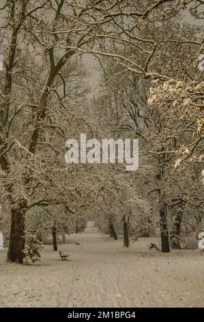 Londres, Royaume-Uni. 12th décembre 2022. Comme les températures tombent en dessous de zéro, la neige tombe à Hampstead, rendant les routes et les trottoirs difficiles à naviguer. Crédit : Guy Bell/Alay Live News Banque D'Images