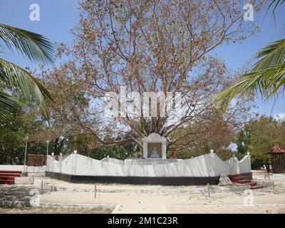 Le Dambakola Patuna est un ancien port situé dans le nord de Jaffna avec une longue histoire datant des premiers jours du bouddhisme au Sri Lanka. Banque D'Images