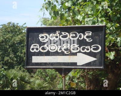 Visites à Jaffna, Sri Lanka. Banque D'Images