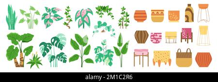 Maison plante et pot, ensemble de dessin animé décoratif tendance. Maison exotique plante en pot des plantes de maison, pot de fleurs pour l'intérieur. Maison botanique d'intérieur plantes en fleurs, céramique en pot. Décor jungle urbaine à vecteur plat Illustration de Vecteur