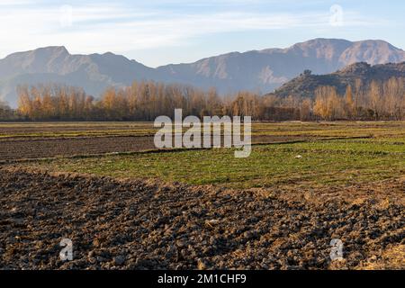 champs agricoles fraîchement labourés en hiver Banque D'Images