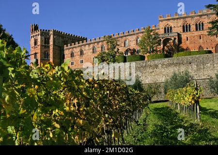 Château de Brolio avec vignoble en premier plan, région du Chianti, Toscane, Italie Banque D'Images