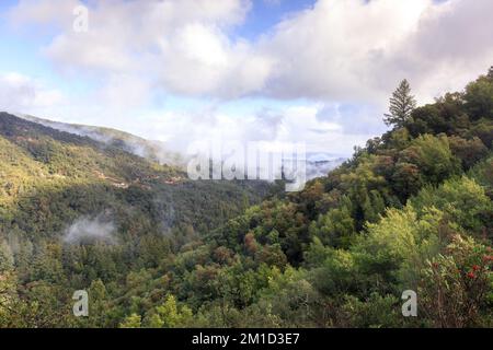 Vue sur Uvas Canyon après la tempête se dégage. Morgan Hill, comté de Santa Clara, Californie, États-Unis. Banque D'Images