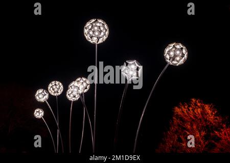 Dandelion illuminé se dirige sur le sentier des lumières hivernales de Waddesdon Manor. Banque D'Images