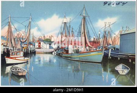 Bateaux de pêche dans le port, Gloucester, Massachusetts. , Bateaux de pêche, Tichnor Brothers Collection, cartes postales des États-Unis Banque D'Images