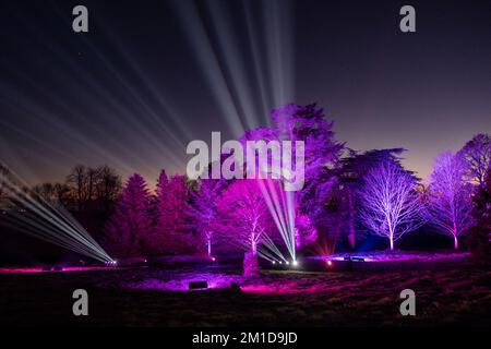 Le Waddesdon Manor, le sentier des lumières d'hiver de Noël. Banque D'Images