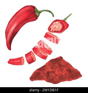Paprika aquarelle dessinée à la main. Poivre, tranches et poudre séchée. Une partie de la grande série d'illustrations. Banque D'Images