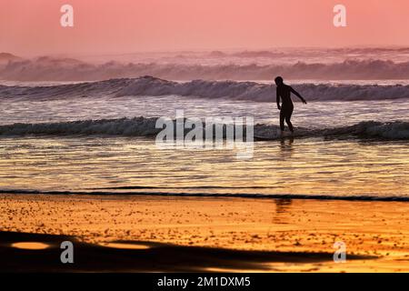 Surfeur sur la plage, silhouette, vagues au coucher du soleil, Plage Tagharte, Essaouira, Océan Atlantique, Maroc, Afrique Banque D'Images