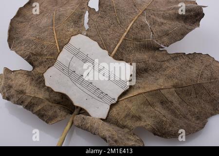 Vue macro d'une feuille sèche avec du papier et des notes musicales de la saison d'automne Banque D'Images