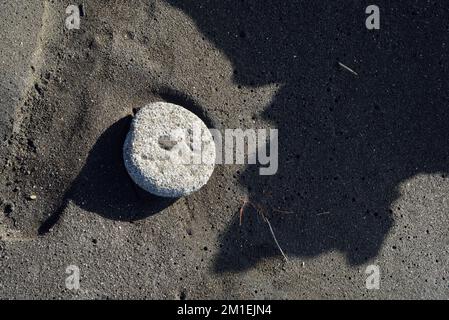 Roche blanche sur sable noir de plage, plage de Survada, Valsad, Gujarat, Inde, Asie Banque D'Images