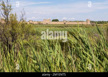 Remparts d'Aigues-mortes depuis les salants du marais Banque D'Images