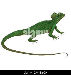 Green Lizard 2 reptiles Digital Art by Winters860 arrière-plan isolé et transparent Banque D'Images