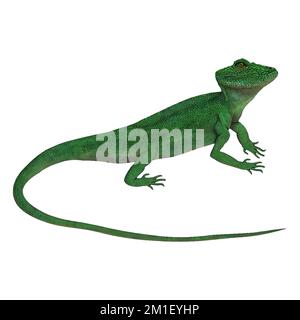 Green Lizard Reptiles Digital Art by Winters860 arrière-plan isolé et transparent Banque D'Images