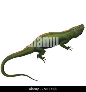 Green Lizard 3 reptiles Digital Art by Winters860 arrière-plan isolé et transparent Banque D'Images
