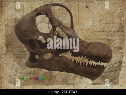 Brachiosaurus Dinosaur Skull Art Study Old Textured Paper Vintage Geometrical Antique Poster Digital Art by Winters860 Banque D'Images