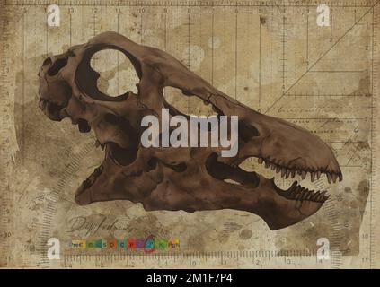 Diplodocus Dinosaur Skull Art Study Old Textured Paper Vintage Geometrical Antique Poster Digital Art by Winters860 Banque D'Images