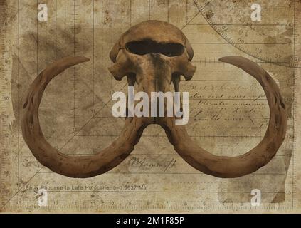 Mammoth Extrinct Elephantid Skull Art Study Old Textured Paper Vintage Geometrical Antique Poster Digital Art by Winters860 Banque D'Images