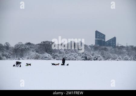 Londres, Royaume-Uni. 12th décembre 2022. Les gens marchent leurs chiens dans la neige à Wanstead Park dans l'est de Londres. Les conditions hivernales en Angleterre ont vu plusieurs centimètres de neige passer la nuit autour de Londres, Anglia et Kent avec un avertissement météorologique de met Office jaune de neige et de glace pour le nord de l'Écosse. Crédit : SOPA Images Limited/Alamy Live News Banque D'Images