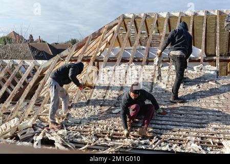 Les constructeurs retirent l'isolation en mousse pulvérisée durcie de l'espace de toit d'une maison privée de banlieue, Shepperton Surrey, Angleterre, Royaume-Uni Banque D'Images