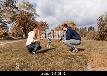 Un jeune couple s'amuse avec un chien dalmate en plein air. Banque D'Images