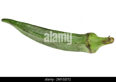 okra fruit isolé sur fond blanc Banque D'Images