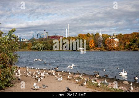 Baie de Töölölahti en automne Banque D'Images