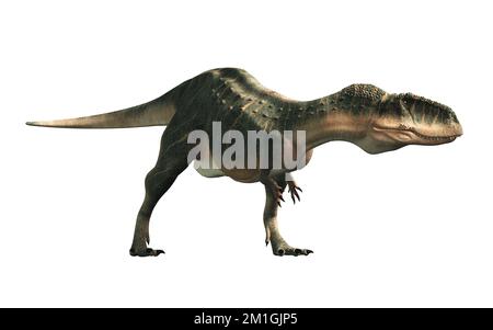 Abelisaurus était un dinosaure théropode carnivore bipédale qui vivait à la fin du Crétacous en Amérique du Sud. Banque D'Images