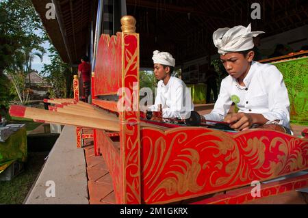 Bali, Indonésie, 29-11-2012-boy joue dans le gamelan Banque D'Images