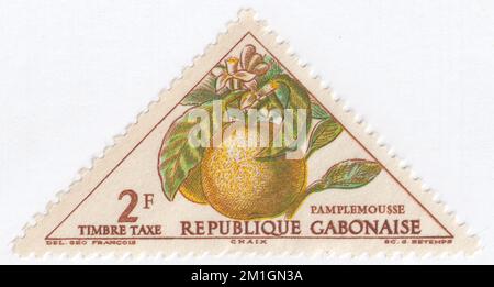 GABON - 1962 10 décembre : timbre-poste multicolore de 2 francs représentant le pamplemousse. Le pamplemousse (Citrus paradisi) est un citrus subtropical connu pour son fruit relativement grand, aigre à semi-sucré, un peu amer. La chair intérieure est segmentée et varie de couleur du jaune pâle au rose foncé. Le jus de pamplemousse contient environ la moitié de l'acide citrique du jus de citron ou de lime et environ 50 % plus d'acide citrique que le jus d'orange. Le pamplemousse est un hybride d'agrumes originaire de la Barbade Banque D'Images