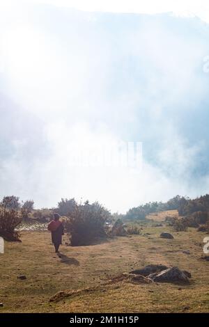 Un dos vertical d'une agricultrice des Andes péruviennes transportant de la nourriture enveloppée dans une couverture Banque D'Images
