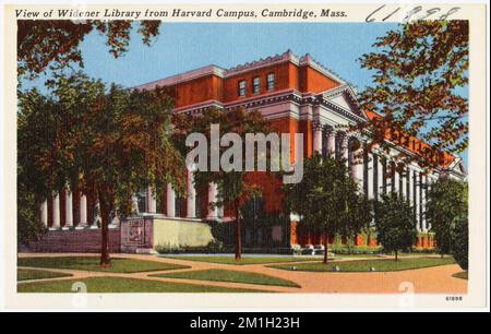 Vue sur la bibliothèque Widener depuis le campus de Harvard, Cambridge, Massachusetts. , Bibliothèques privées, universités et collèges, Harvard University. Bibliothèque, Collection Tichnor Brothers, cartes postales des États-Unis Banque D'Images