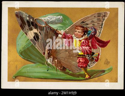 Filet balançant d'enfant à côté d'un papillon assis sur une feuille , enfants, papillons, feuilles, filets de papillon, Cartes professionnelles américaines du siècle 19th Banque D'Images