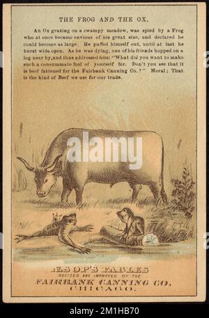 La grenouille et le boeuf, les fables d'Aesop révisé et amélioré par la Fairbank Canning Co., Chicago , Oxen, grenouilles, viande, Cartes professionnelles américaines du siècle 19th Banque D'Images