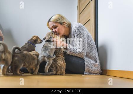 Joyeux chien brun sauvé de race inconnue jouant avec la femme propriétaire de la maison temporaire. Léchage du nez et baisers de chien. L'amour entre l'homme et les animaux. Photo de haute qualité Banque D'Images