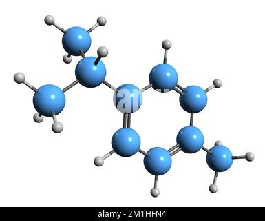 3D image de la formule squelettique des cymenes - structure chimique moléculaire de la phytochimie isolée sur fond blanc Banque D'Images